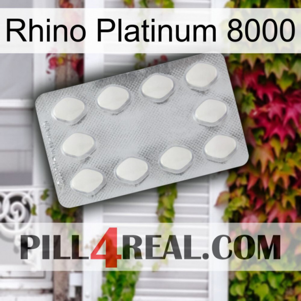 Rhino Platinum 8000 16.jpg